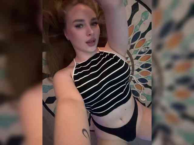 Havyer webcam
