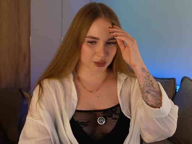 Модель: Havyer
