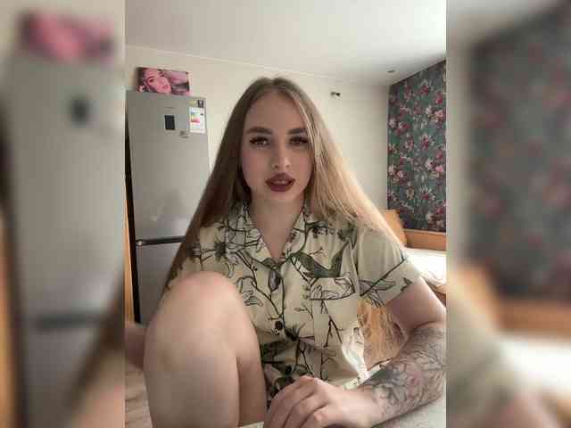 Havyer webcam