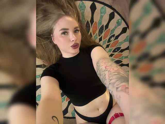 Havyer webcam