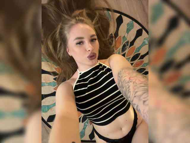 Havyer webcam