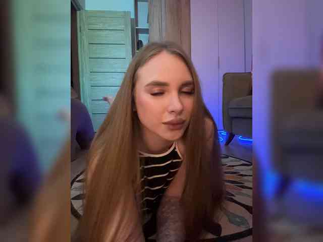 Havyer webcam