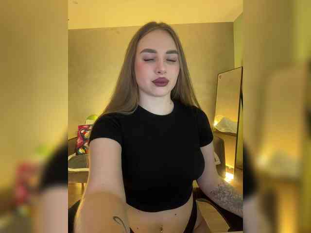 Havyer webcam