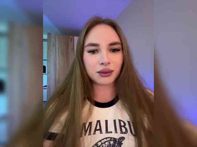 Havyer webcam