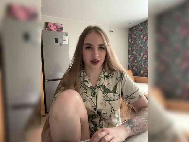 Havyer webcam