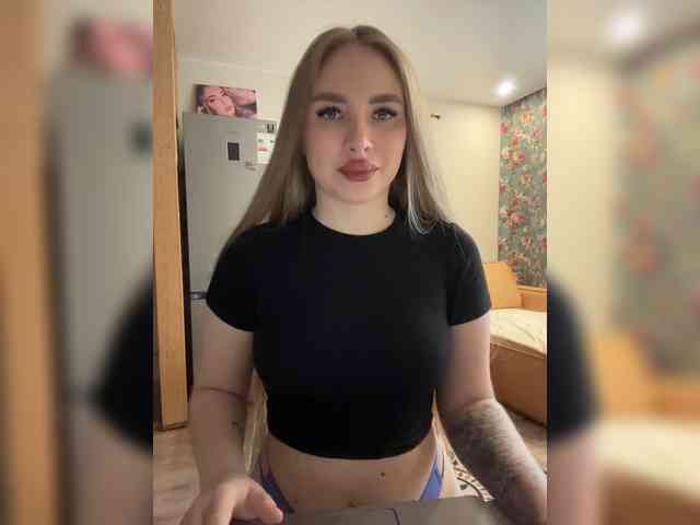 Havyer webcam