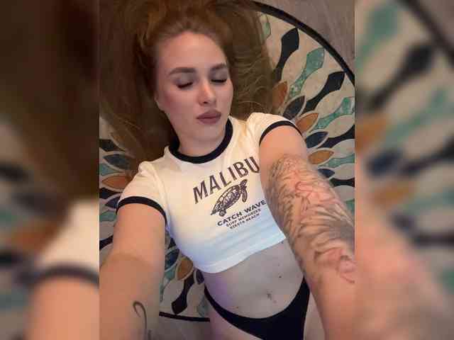 Havyer webcam