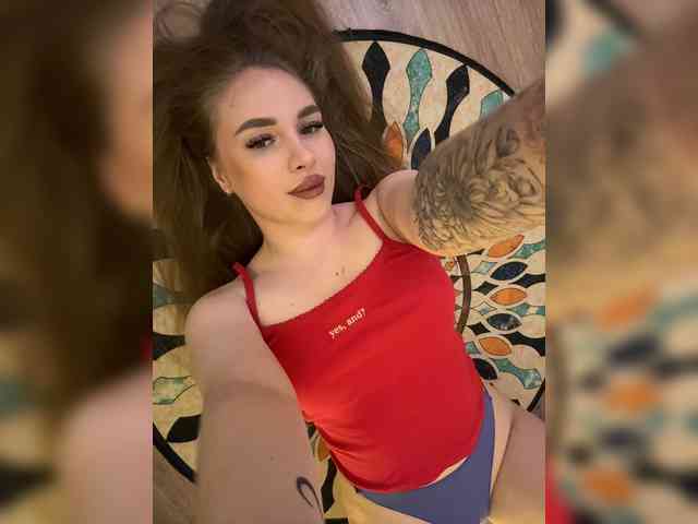 Havyer webcam