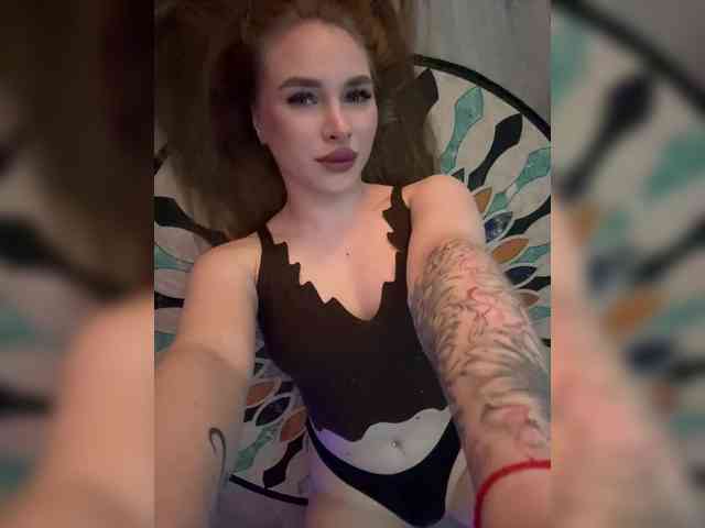 Havyer webcam