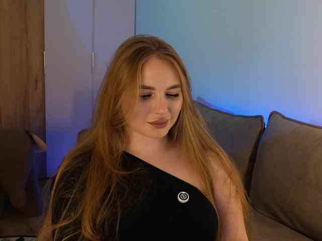 Havyer webcam