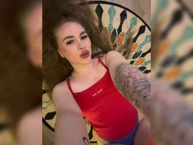 Havyer webcam