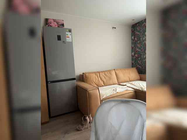 Havyer webcam
