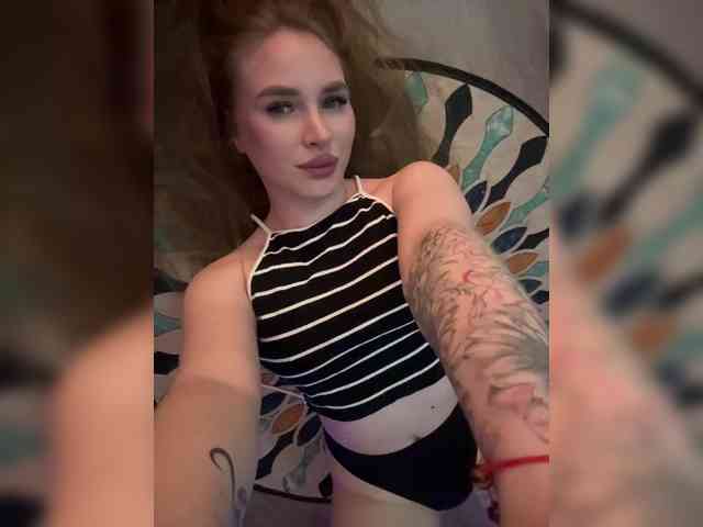 Havyer webcam