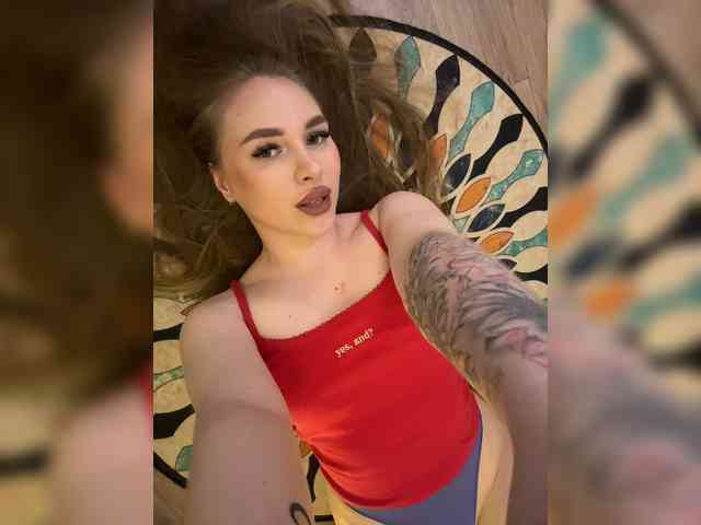 Havyer webcam