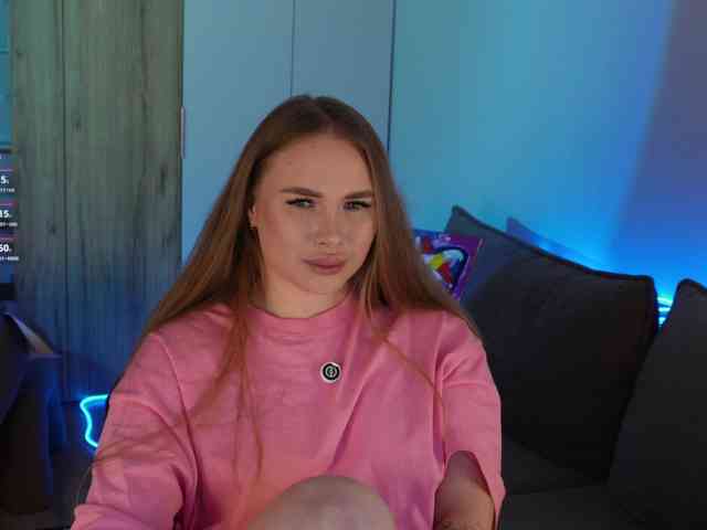 Havyer webcam