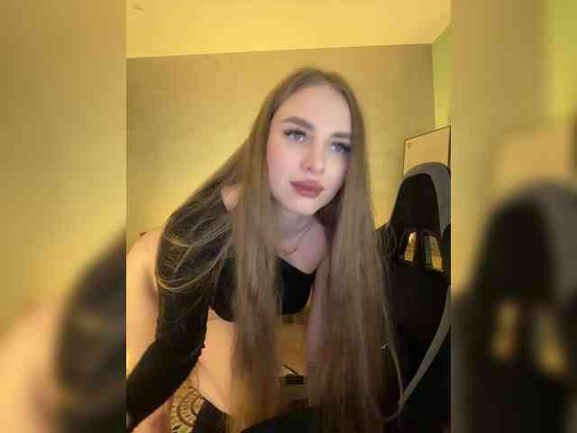 Havyer webcam