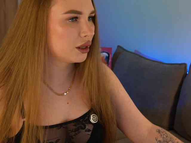 Havyer webcam