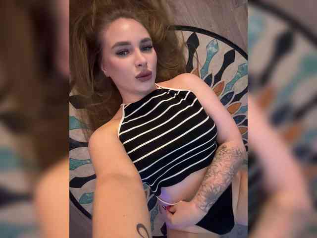Havyer webcam