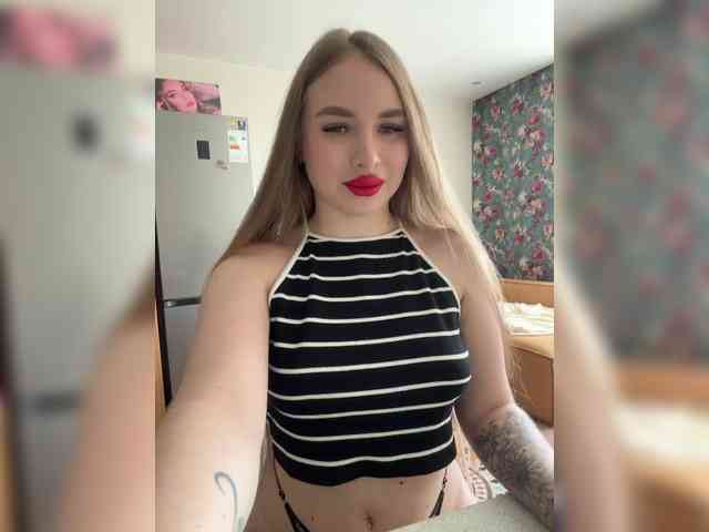 Havyer webcam