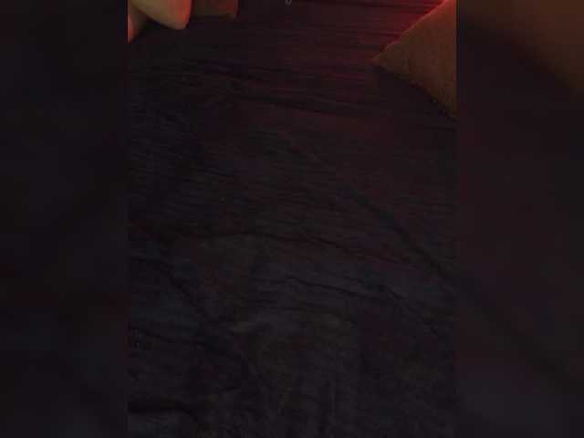 Plohishi2 live cam