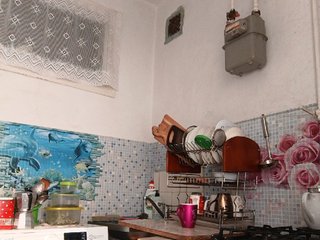 -NeZabudka