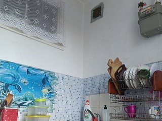 -NeZabudka