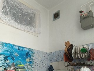 -NeZabudka