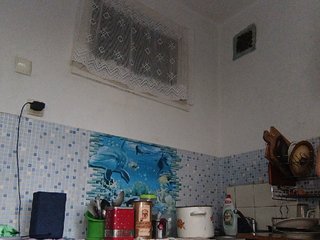 -NeZabudka
