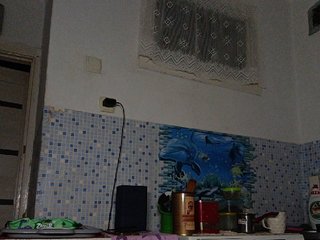 -NeZabudka
