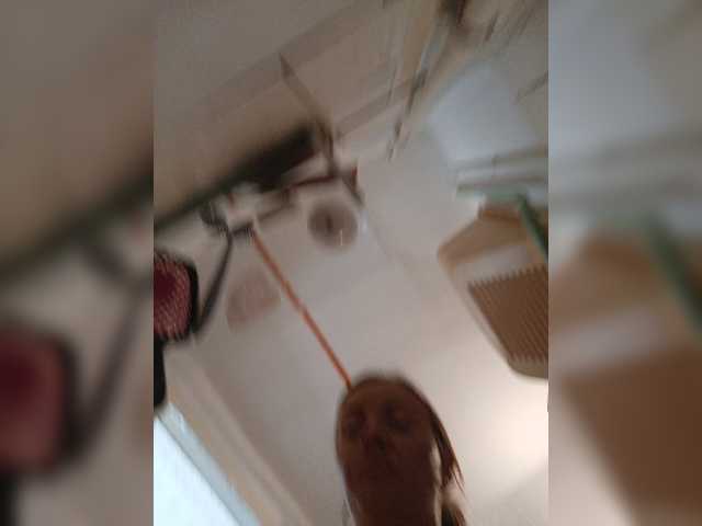 Alenushka888 live cam on BongaCams