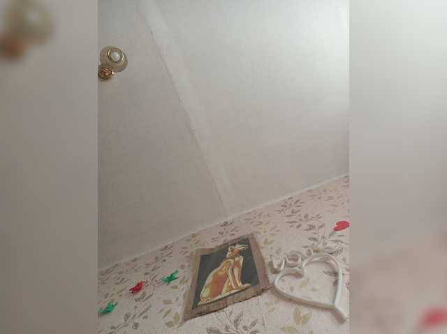 -NeZabudka