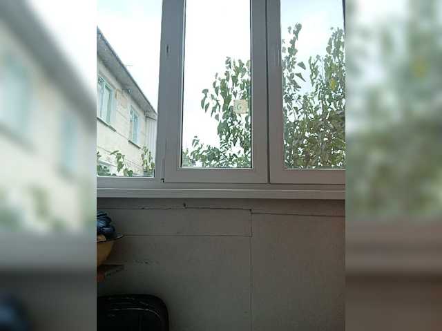 -NeZabudka live cam preview