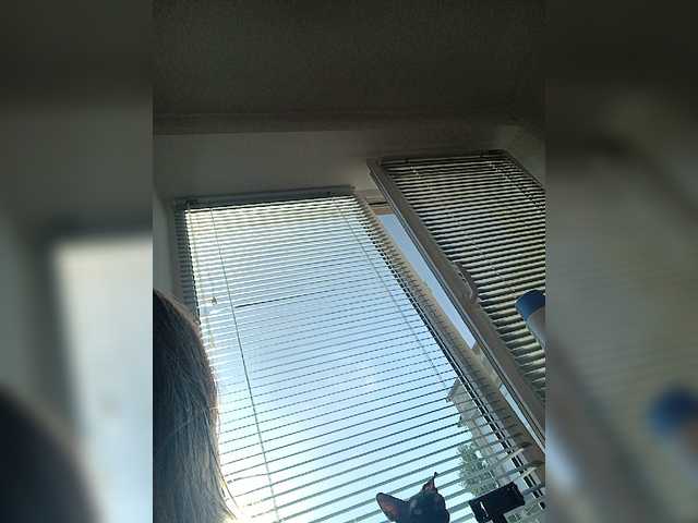 Alenushka888 live cam on BongaCams