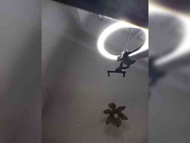 -NeZabudka webcam