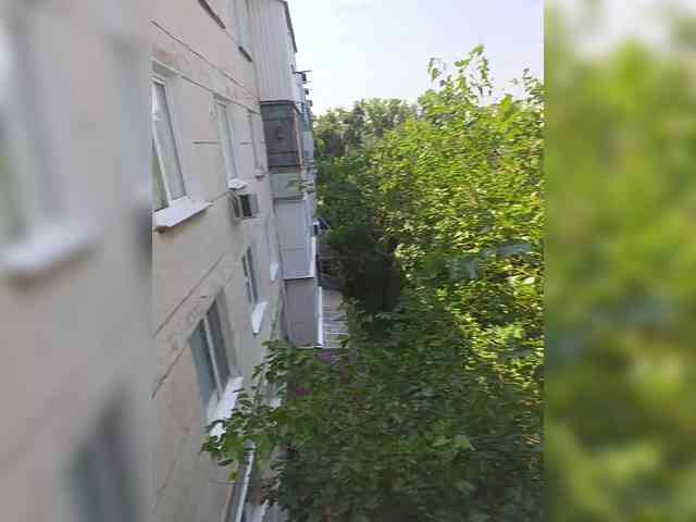-nezabudka's live room