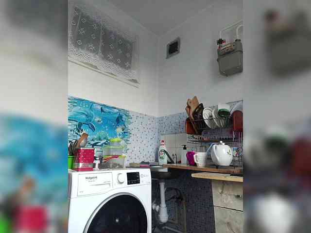 -NeZabudka webcam