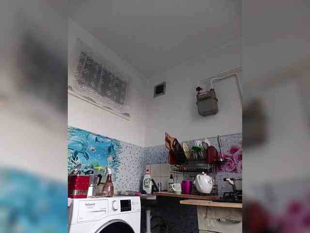 -NeZabudka webcam