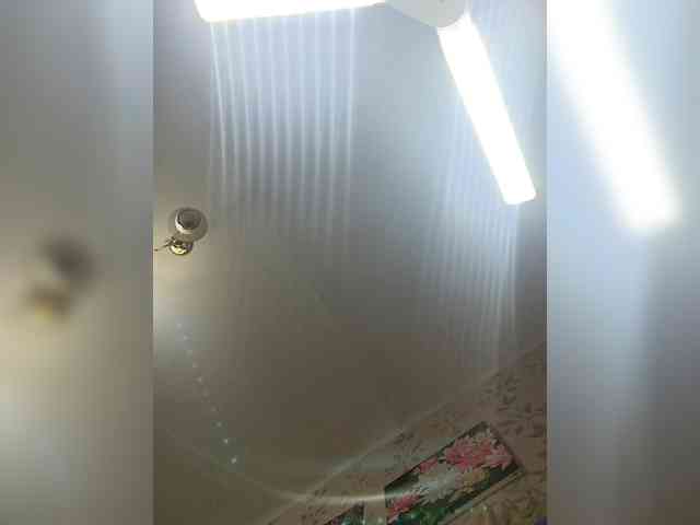 -NeZabudka webcam