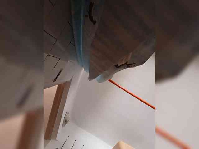 Ne_Zabudka webcam