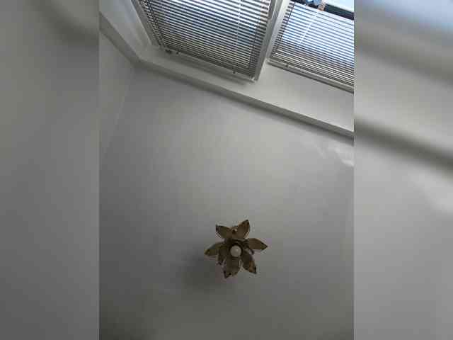 -NeZabudka webcam