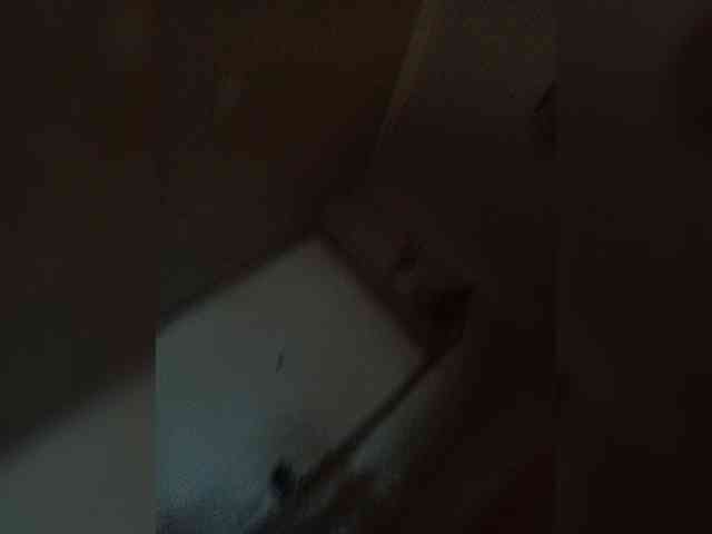 -NeZabudka webcam