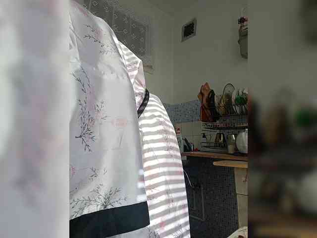 -NeZabudka webcam