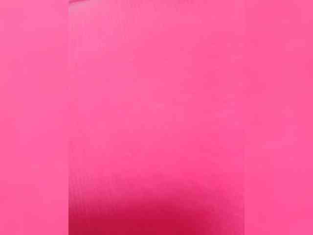 Ne_Zabudka webcam