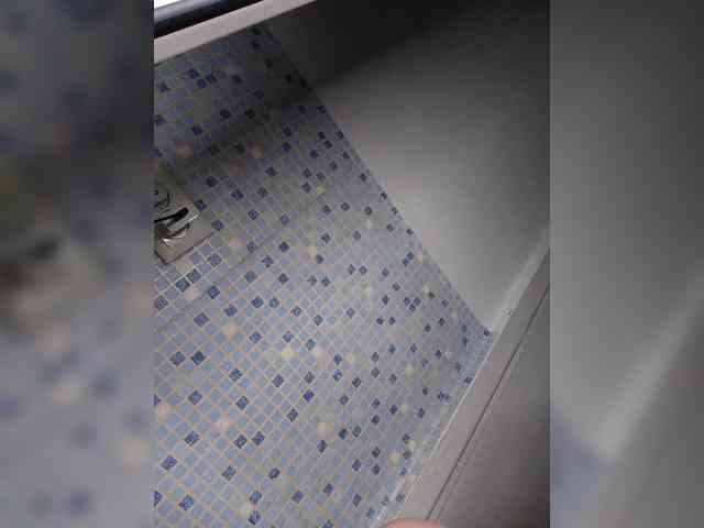 -NeZabudka webcam