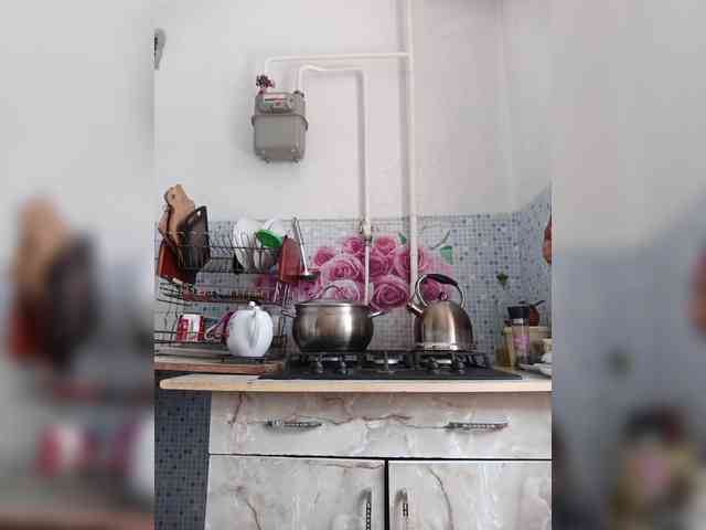 -NeZabudka webcam