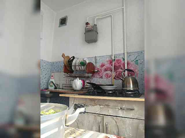-NeZabudka webcam