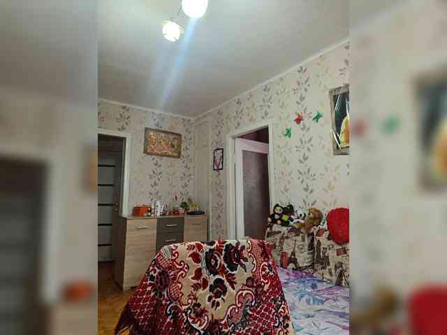 -NeZabudka