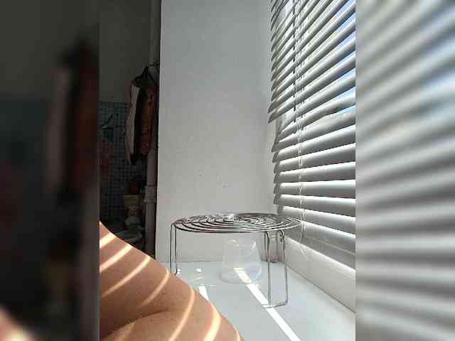 -NeZabudka webcam