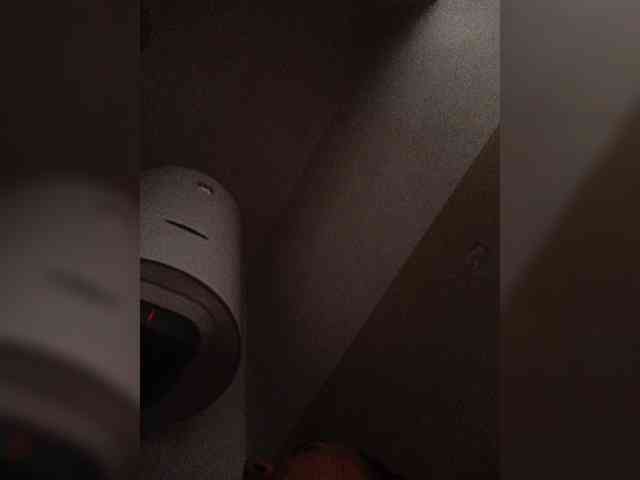 -NeZabudka webcam