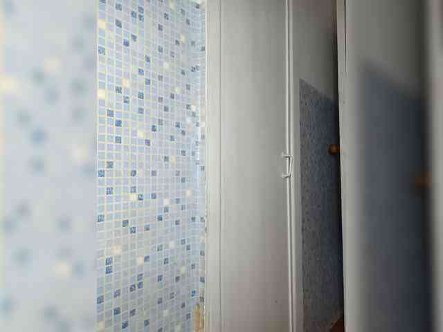 -NeZabudka webcam